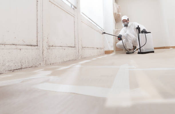 24/7 Emergency Mold Remediation experts in Shelton, WA