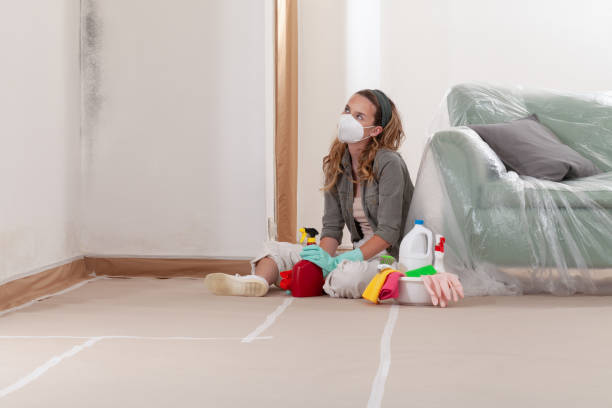 Reliable Mold Remediation contractor in Shelton, WA by 24 Hour Mold Removal